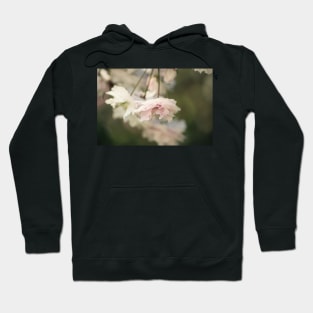 Pretty pink petals Hoodie